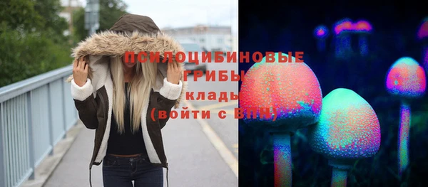 индика Алексин