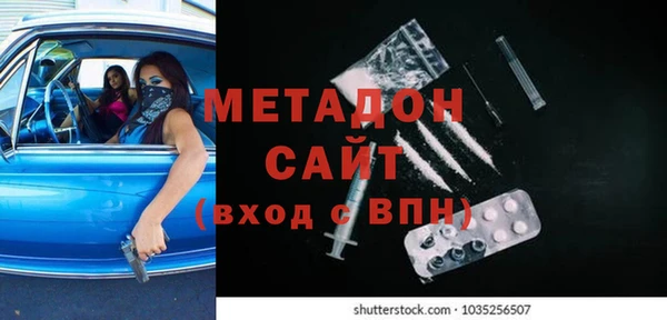индика Алексин