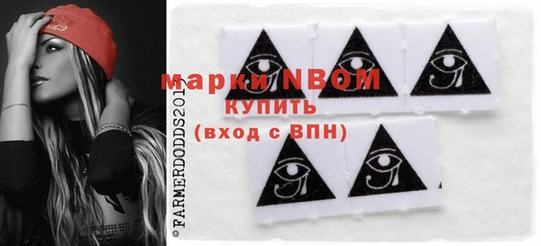 индика Алексин