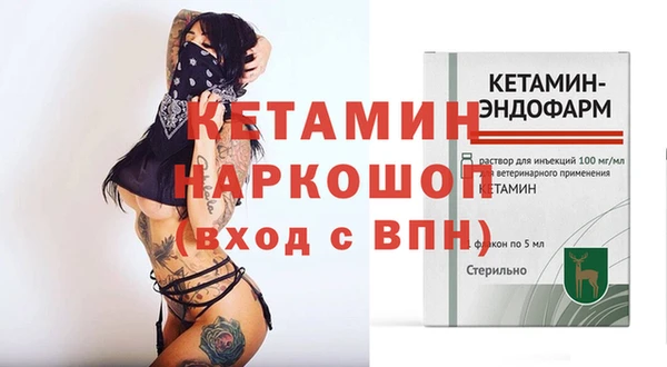 индика Алексин