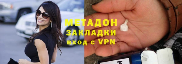 индика Алексин