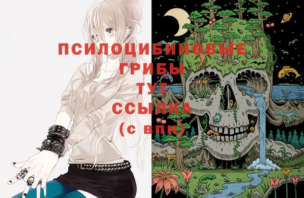 индика Алексин
