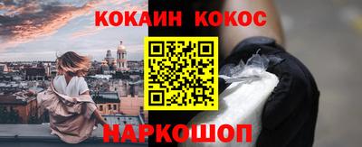 гашик Кингисепп
