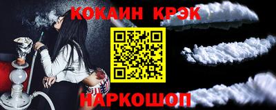 гашик Кингисепп
