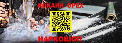 гашик Кингисепп