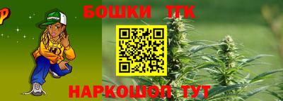 гашик Кингисепп
