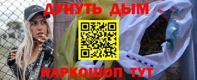 гашик Кингисепп