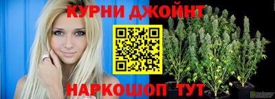 гашик Кингисепп
