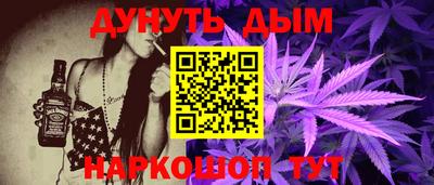 гашик Кингисепп