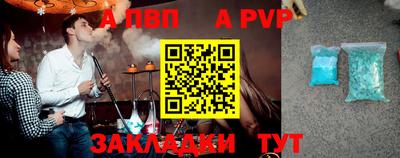 гашик Кингисепп