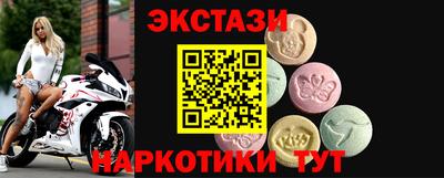 гашик Кингисепп