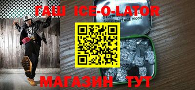 гашик Кингисепп