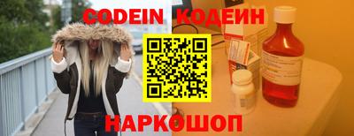 гашик Кингисепп
