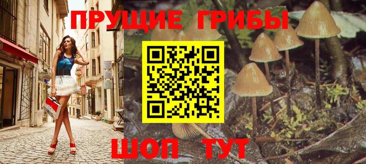 Люберцы  Галлюциногенные грибы Psilocybe  Вход с VPN  Галлюциногенные грибы прущие грибы 